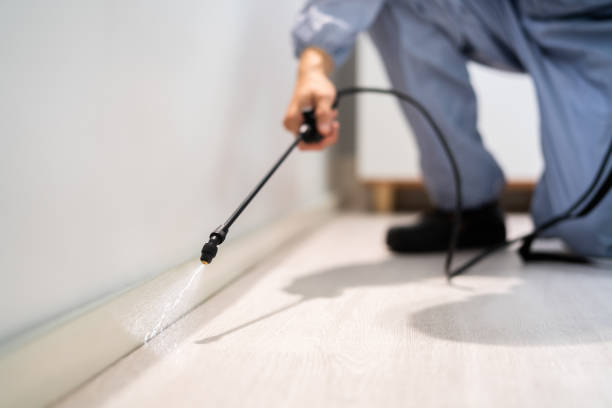 Bed Bug Pre-Treatment Preparation Assessment in Welcome