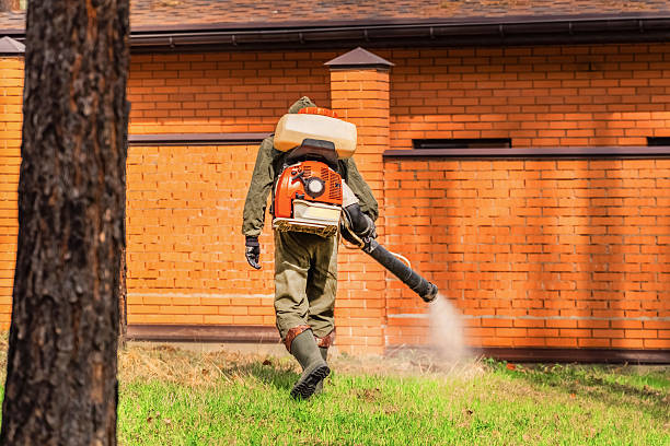 Bed Bug Clearance Verification and Documentation in Welcome